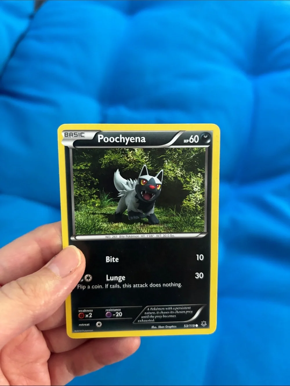 Pokémon Cards Poochyena HP 60 2014 NWOTS